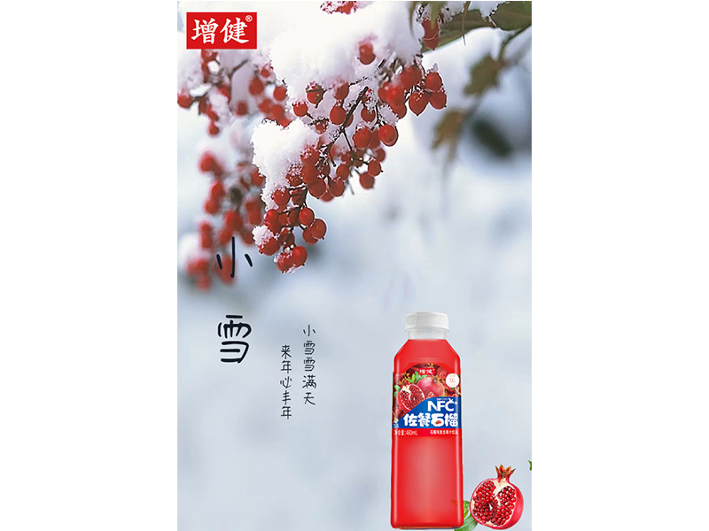 有(yǒu)冬要来  有(yǒu)雪(xuě)如诗