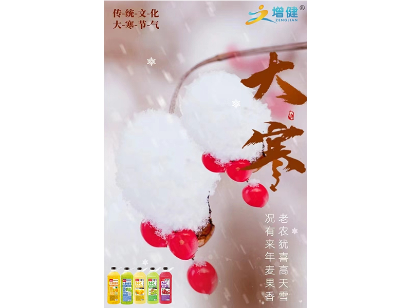 【增健饮品】大寒：愿你心有(yǒu)安(ān)暖，不惧冬寒