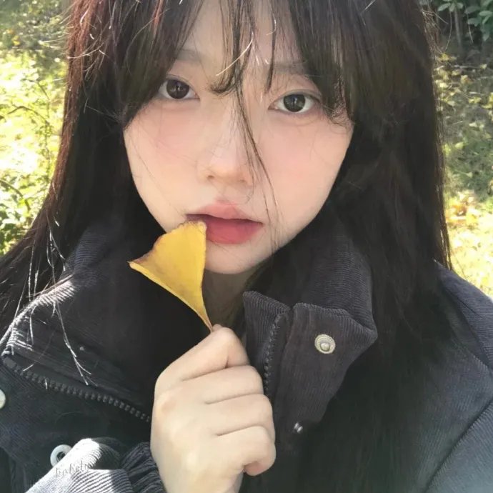 孩子与狗