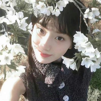 红楼二尤
