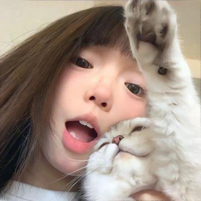 蝴蝶大冒险